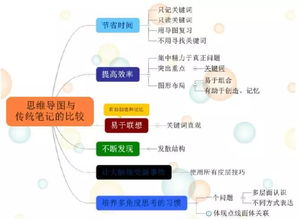 古都西安 思維之網，網絡技術服務的璀璨融合